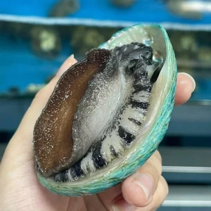 BÀO NGƯ XANH NGỌC BÍCH