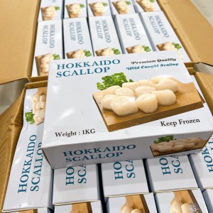 CỒI SÒ ĐIỆP NHẬT 20-25CON/KG