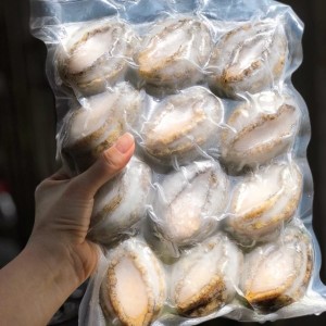 BÀO NGƯ ĐÔNG LẠNH