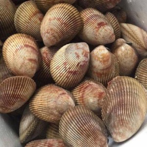 SÒ DƯƠNG